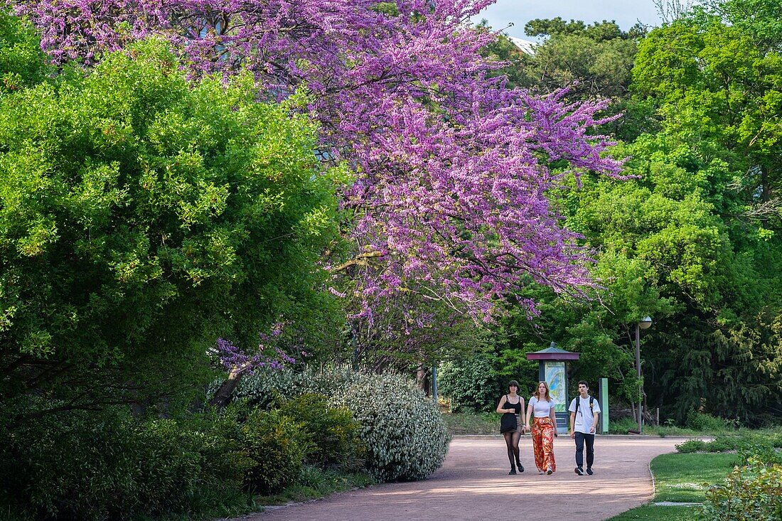 France,Rhone,Lyon,6th arrondissement,Parc de la Tête d'Or (Park of the Golden Head)