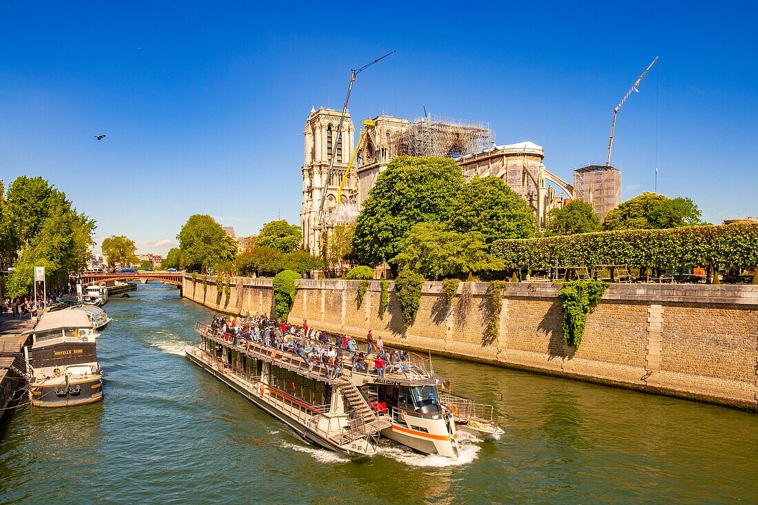 Frankreich,Paris,von der UNESCO zum Weltkulturerbe erklärtes Gebiet,Ile de la Cite,Kathedrale Notre Dame und ein Flugboot
