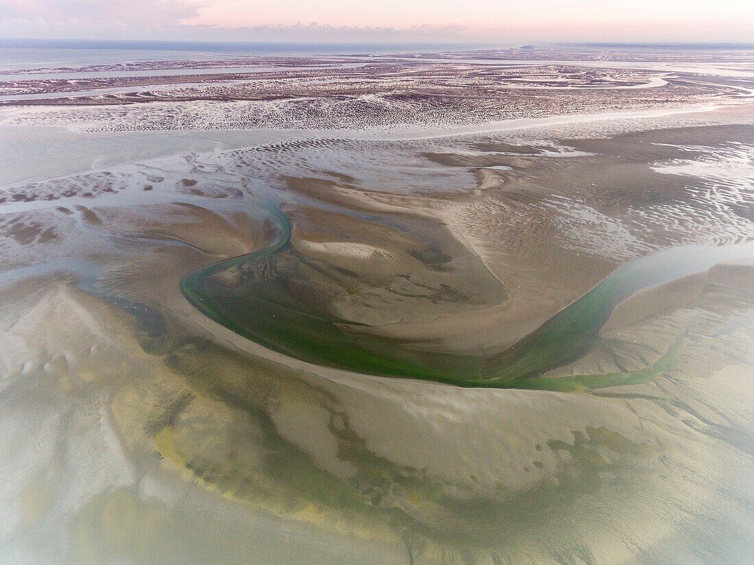 France,Somme,Baie de Somme,La Mollière d'Aval,flight over the Baie de Somme near Cayeux sur Mer,here the shoreline consists of the pebble cord that extends to the cliffs of Ault and at low tide the sandbanks extend to view