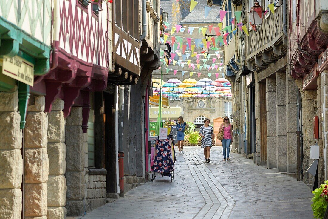 France,Morbihan,Pontivy,the street of du Pont and its half-timbered houses