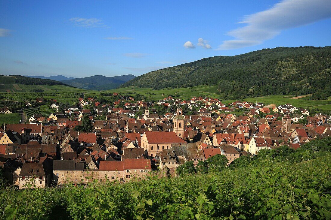 Frankreich,Haut Rhin,Route des Vins d'Alsace,Riquewihr als die schönsten Dörfer Frankreichs bezeichnet
