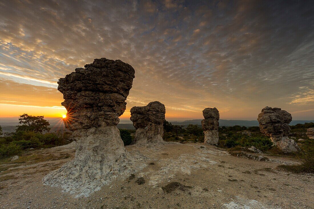 France,Alpes de Haute Provence,rocks of Mourres,Forcalquier,Luberon Regional Nature Park