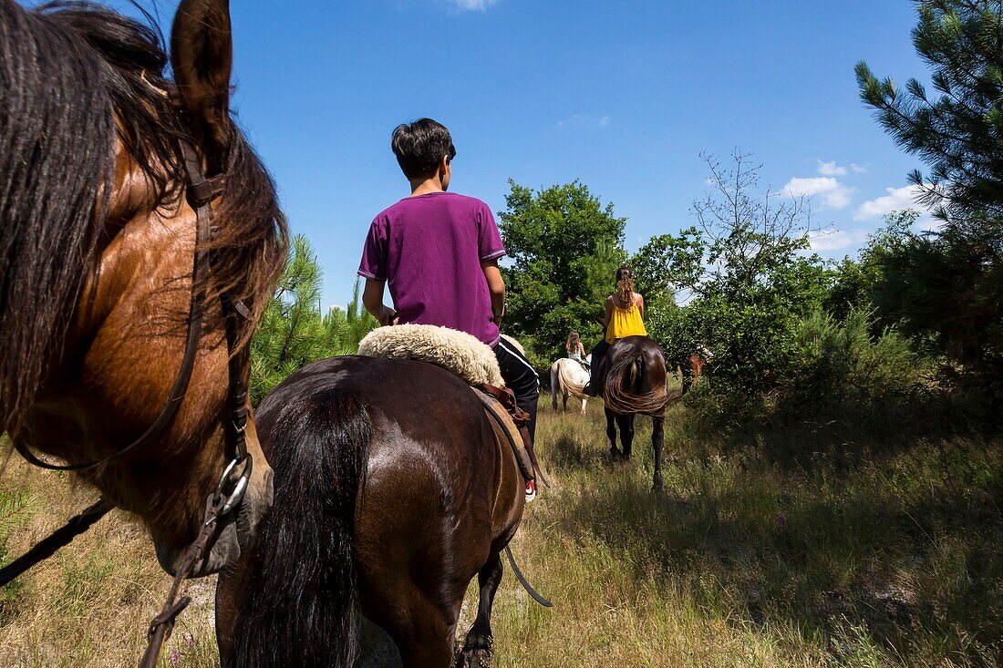 Frankreich,Gironde,Val de L'Eyre,Parc Naturel Régional des Landes de Gascogne,Ausritt mit Caballo Loco,eine chilenische Familie, die sich auf Reitkunst spezialisiert hat(Luftaufnahme)