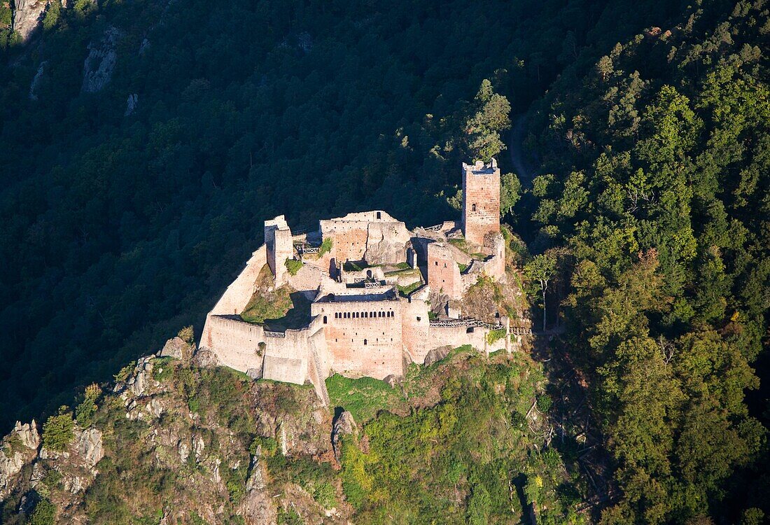France,Haut Rhin,Ribeauville,Saint Ulrich Castle (aerial view)