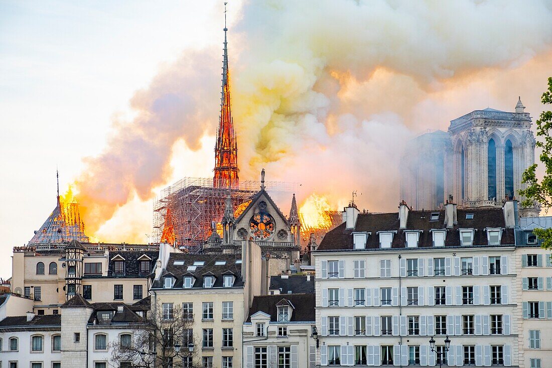 Frankreich,Paris,Weltkulturerbe der UNESCO,Ile de la Cite,Kathedrale Notre-Dame,Großbrand der Kathedrale am 15. April 2019