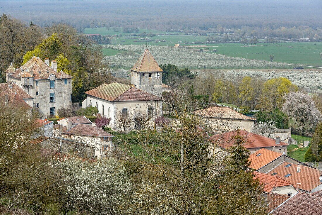 France,Meurthe et Moselle,Cotes de Toul,Boucq,view of the village,the church,the castle and the orchards of cherry plum trees in bloom