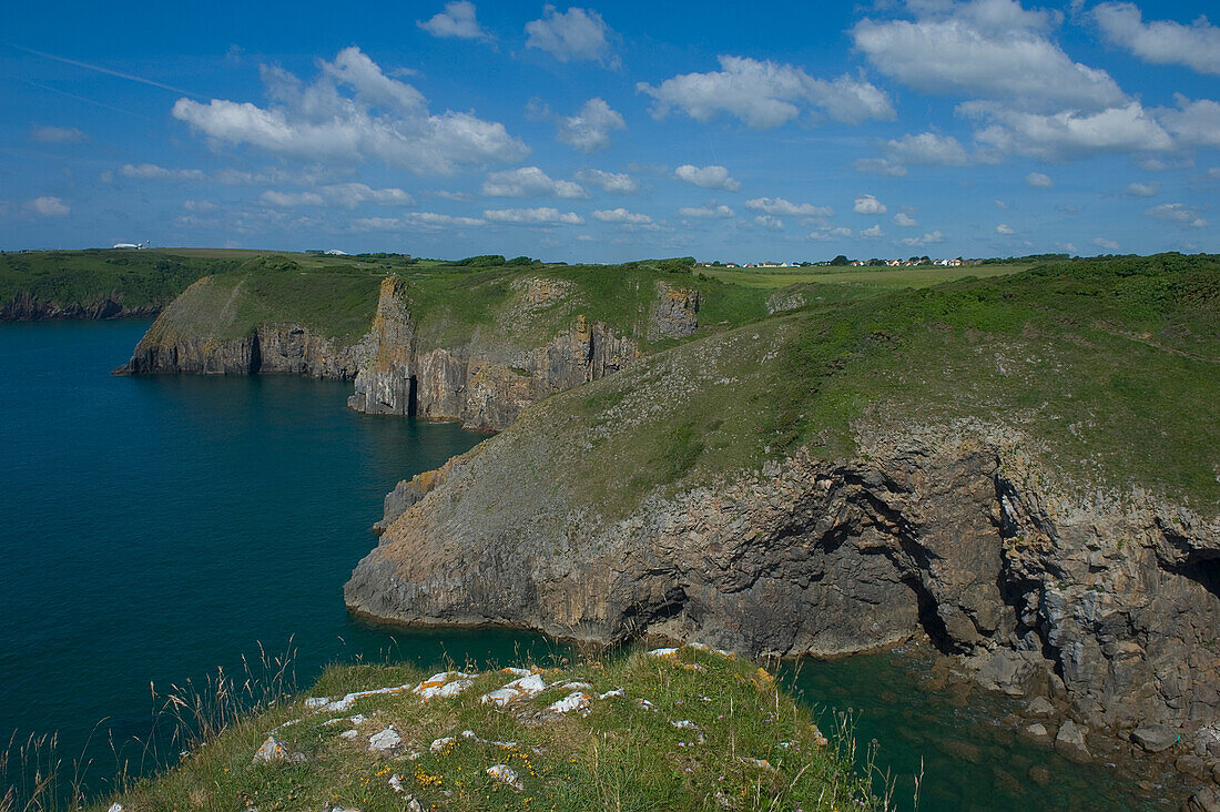 Küstenlinie bei Lydstep. Pembrokeshire. Wales. Cymru. UK. Vereinigtes Königreich.