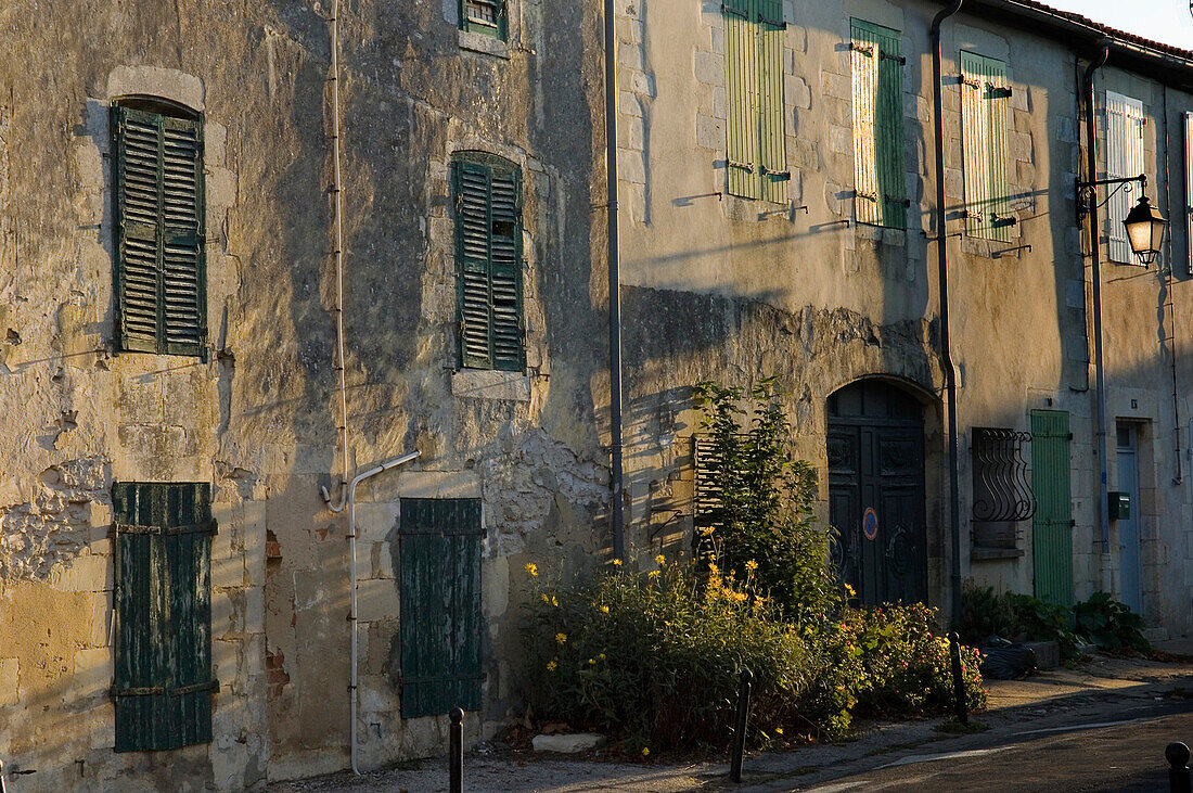 Frankreich,Straße in Saint Martin-de-Re auf der Ile de Re, Poitou-Charentes