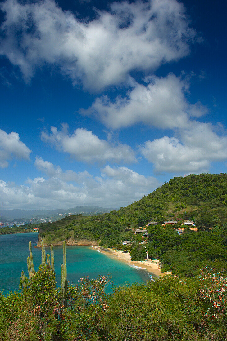 Caribbean,Dr Groom's Beach,Grenada