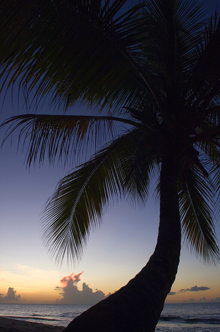 Caribbean,Sunset over Magazine Beach,Grenada