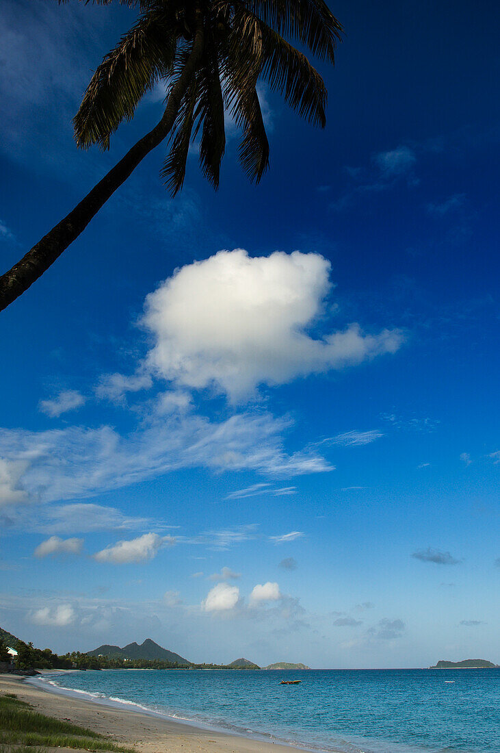 Caribbean,Grenada,Grenadines,Hillsborough beach,Carriacou Island