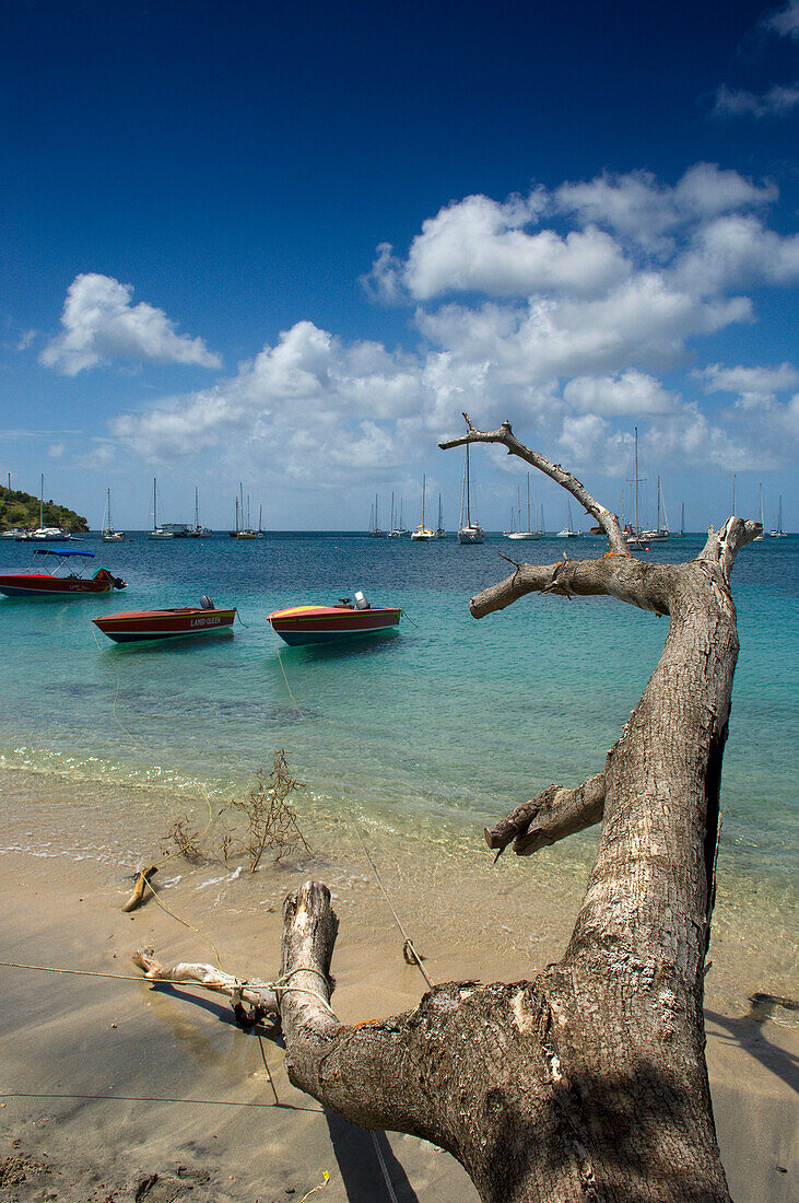 Karibik,Grenada,Grenadinen,Blick auf die Tyrrel-Bucht,Carriacou-Insel