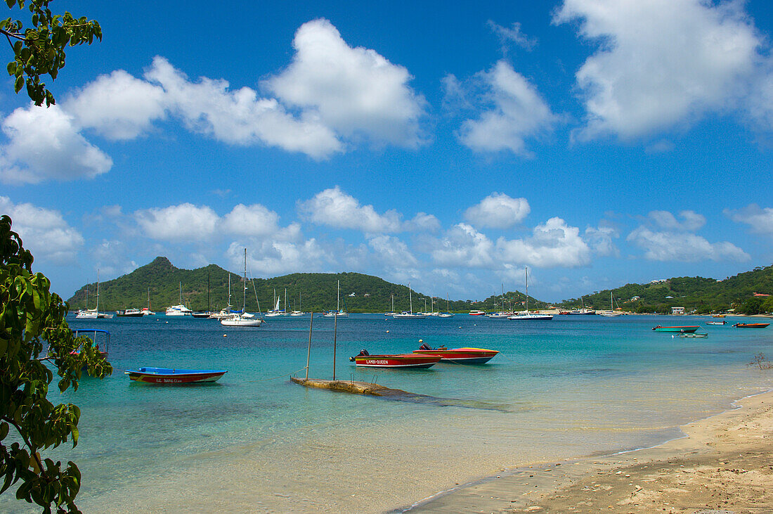 Caribbean,Grenada,Grenadines,View of Tyrrel Bay,Carriacou Island