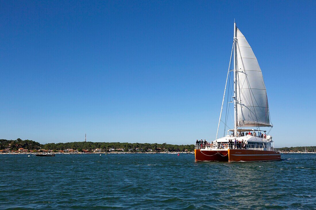 France,Gironde,Bassin d'Arcachon,l'Ile aux Oiseaux,cruising catamaran the Cote d'Argent