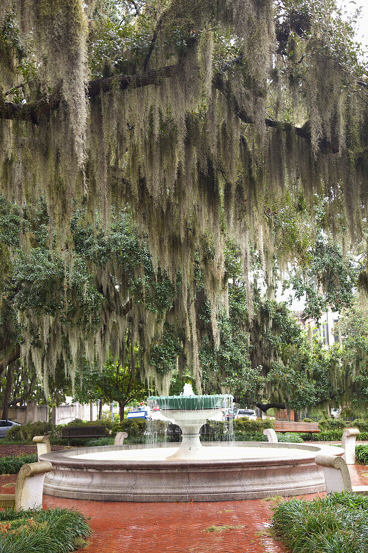 Usa,Georgia,Springbrunnen Im Park,Savannah