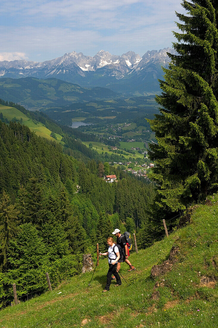 A couple hiking in the Kitzbuehel alpine region with the Wilder Kaiser mountain ridge in the background. Tyrol,Austria.