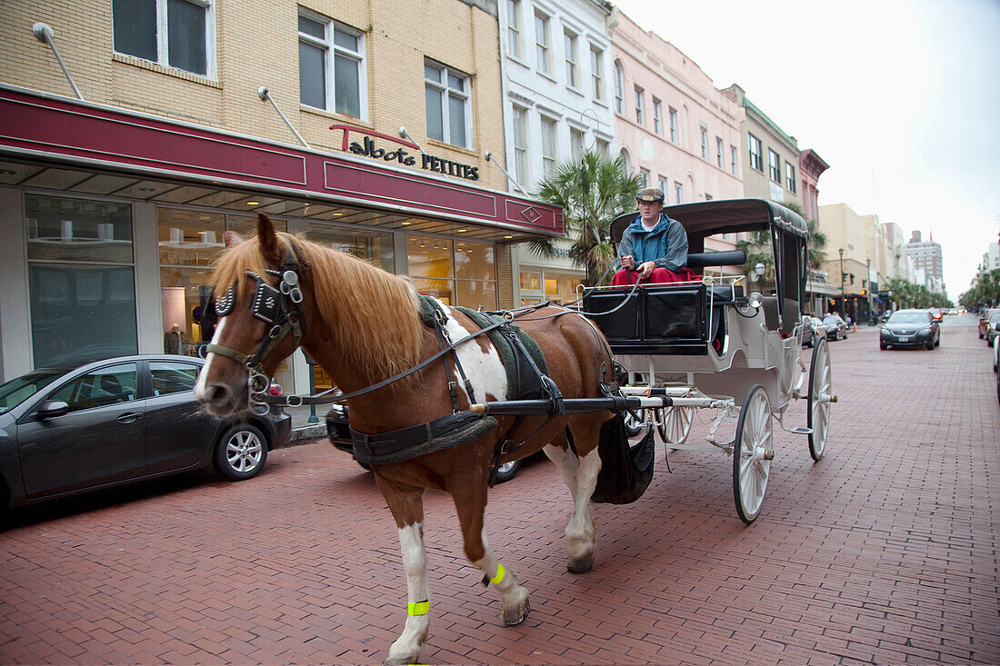 Usa,South Carolina,Horse Drawn Carriage On Street,Charleston