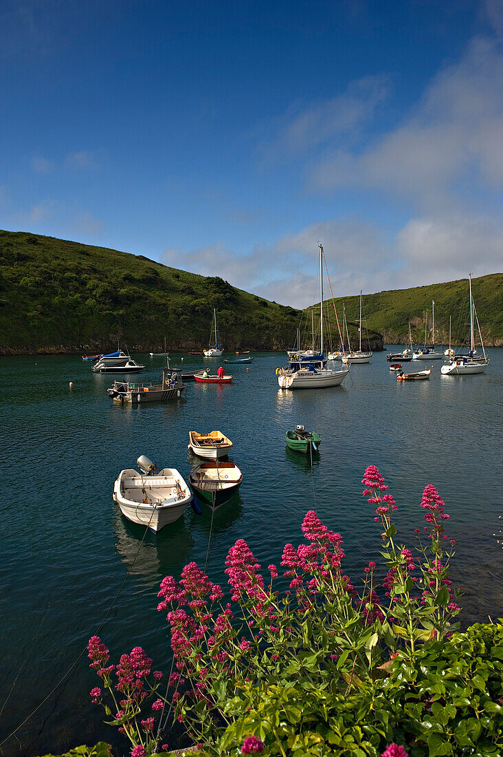 Solva Hafen. Pembrokeshire. Wales. UK.