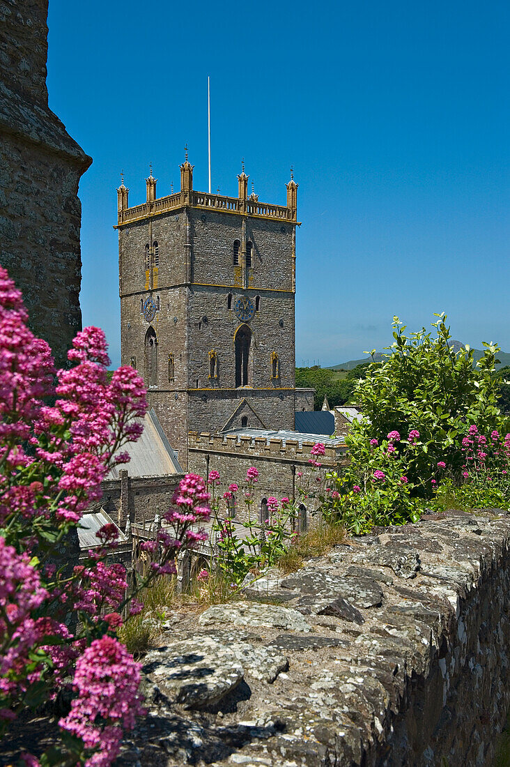 St David's Cathedral. St David's. Pembrokeshire. Wales. UK. Photos