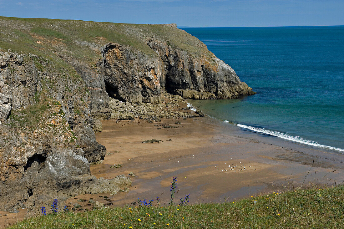 Pembrokeshire Coast National Park. Stackpole Estate. Pembrokeshire. Wales