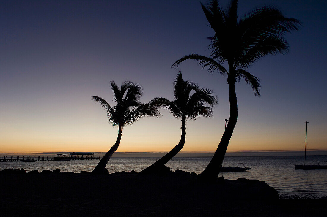 USA,Florida,Florida Keys,Sonnenaufgang über Pier und Bootsanleger,Islamorada