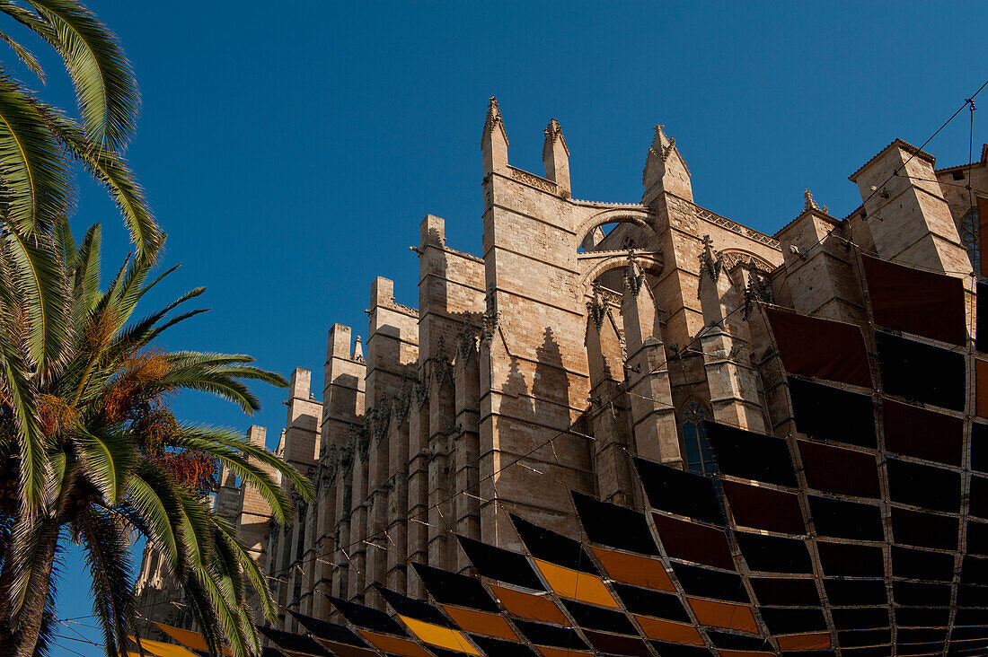 Spain,Majorca,Looking up at roof of outdoor theatre and cathedral,Palma