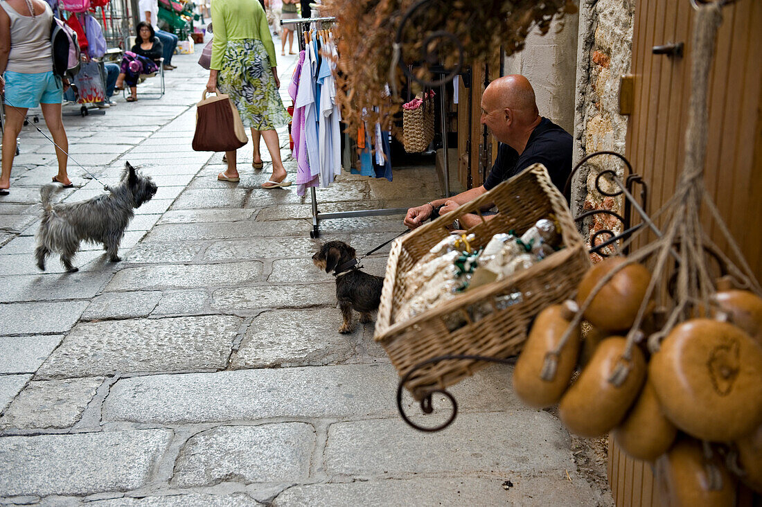 Eine Hundebegegnung entlang der Einkaufsstraße rue Clemenceau. Calvi. Das Stadtviertel Balagne. Korsika. Frankreich