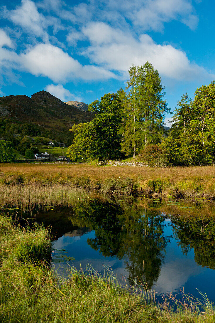 England,Cumbria,Lake District National Park,Ruhiges Wasser von Little Langdale Tarn,Little Langdale