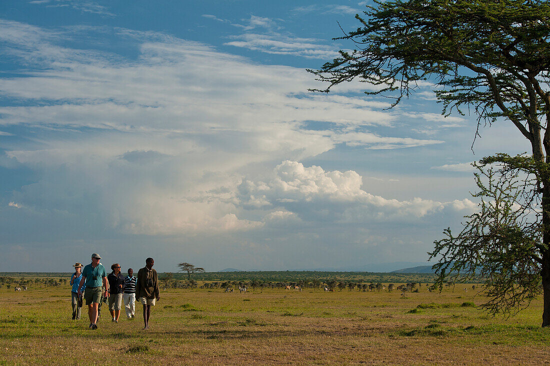 Kenia,Menschen auf Wandersafari mit Zebra und Eland im Hintergrund im Ol Pejeta Conservancy, Laikipia Land