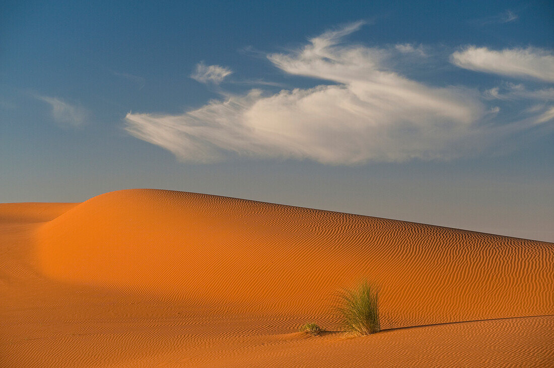Marokko,Sanddüne bei Merzouga in der Wüste Sahara,Erg Chebbi-Gebiet