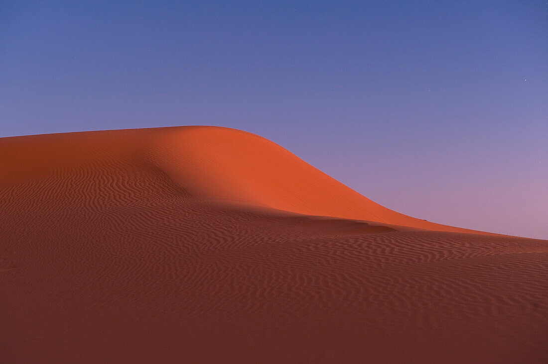 Marokko,Sanddüne in der Abenddämmerung bei Merzouga in der Sahara-Wüste,Erg Chebbi-Gebiet