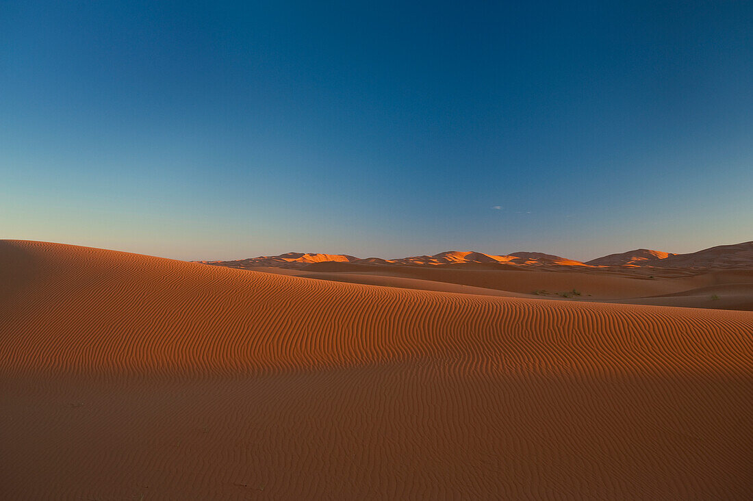 Marokko,Sanddüne in der Morgendämmerung in der Nähe von Merzouga in der Wüste Sahara, Erg Chebbi-Gebiet