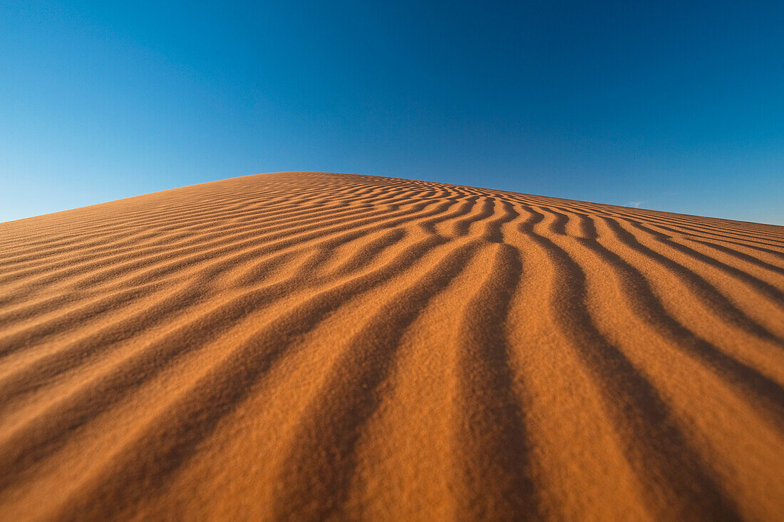 Morocco,Detail of sand dune in Erg Chebbi area,Sahara Desert near Merzouga