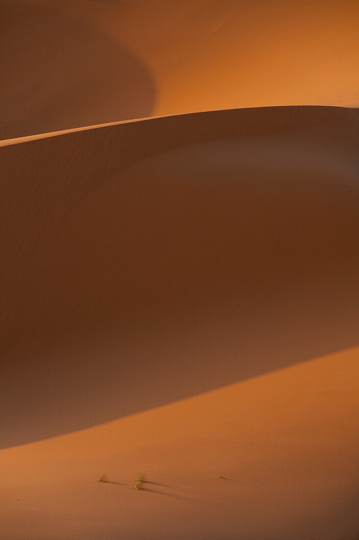 Morocco,Detail of sand dune in Erg Chebbi area,Sahara Desert near Merzouga