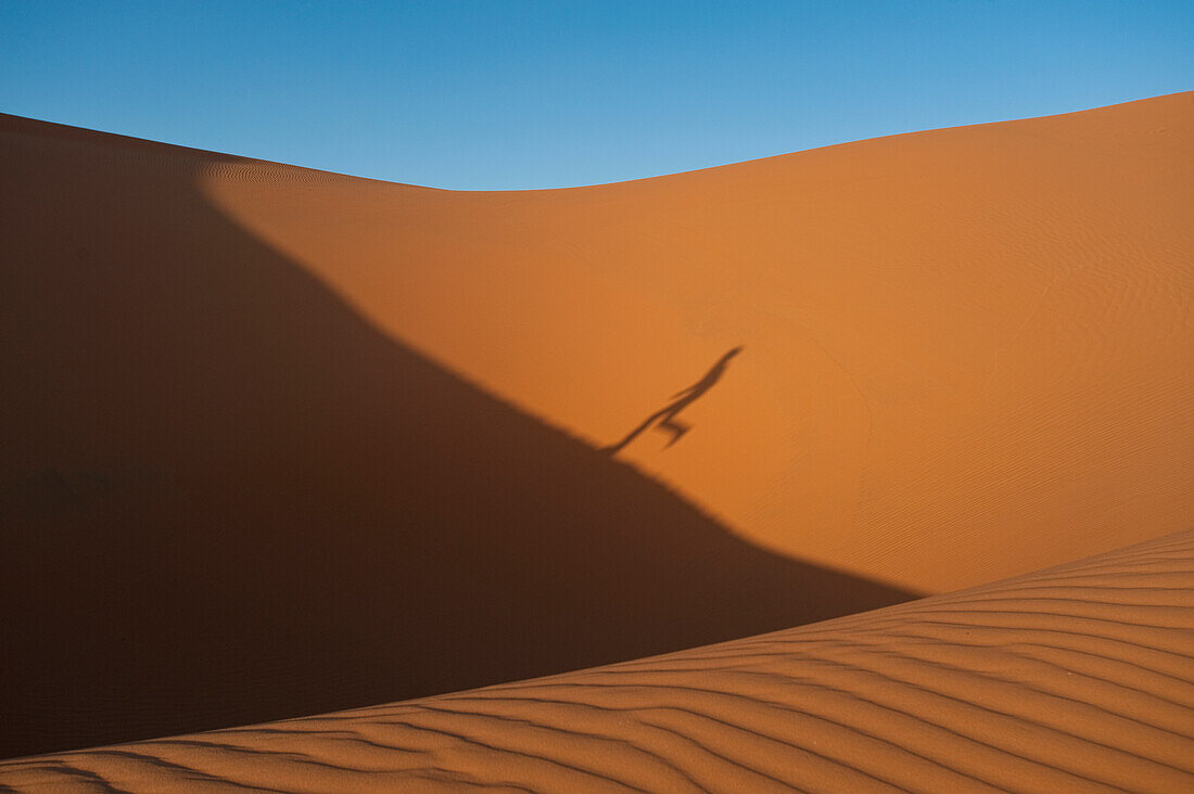 Marokko,Schatten eines Mannes, der eine Sanddüne im Erg Chebbi-Gebiet hinaufläuft, Sahara-Wüste bei Merzouga