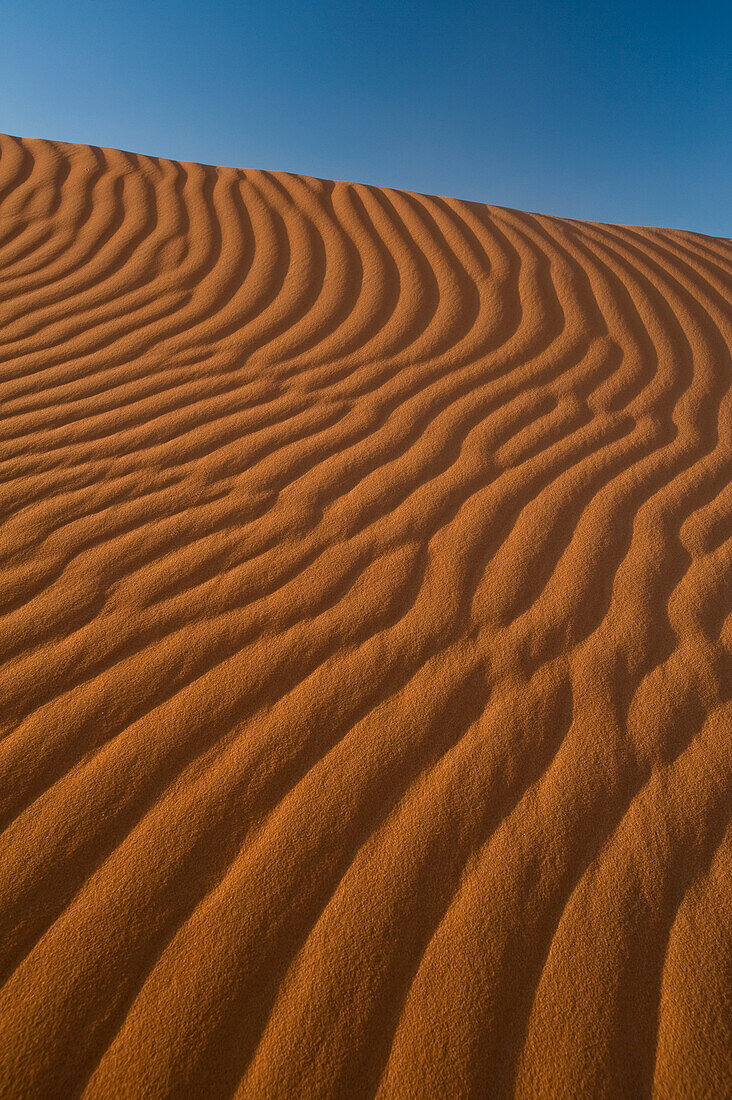 Morocco,Detail of sand dune in Erg Chebbi area,Sahara Desert near Merzouga