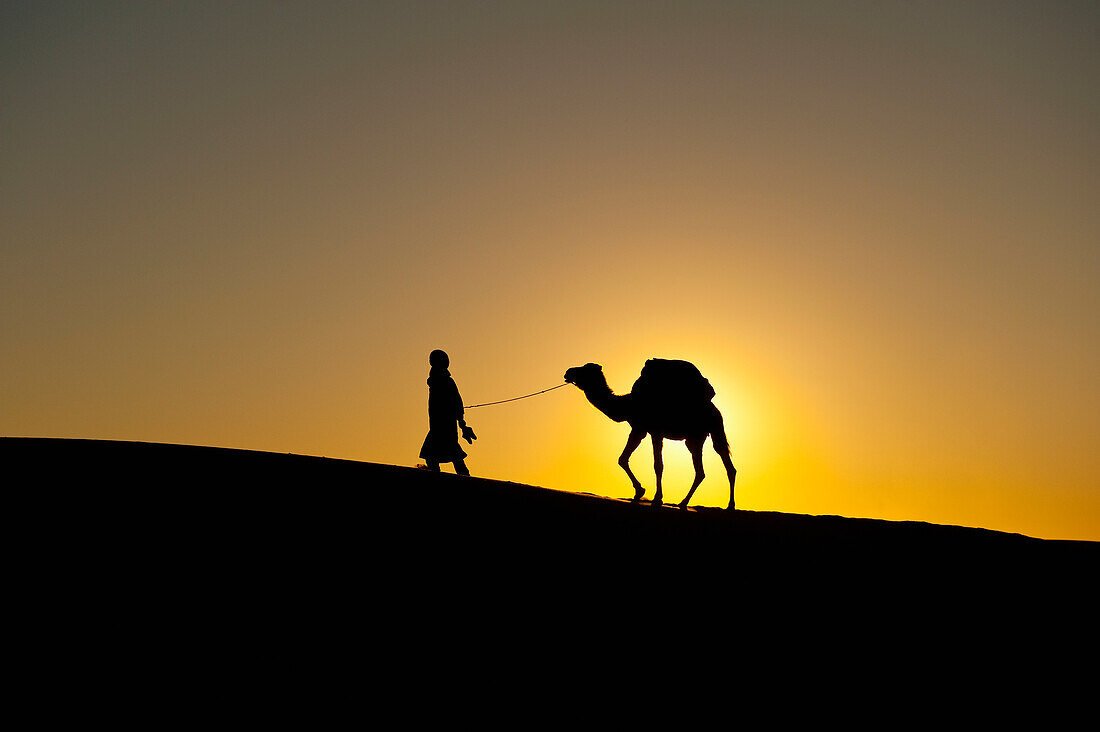 Marokko,Silhouette von Berber 'Blauer Mann' führt Kamel über Sanddünen in der Abenddämmerung im Erg Chebbi-Gebiet,Sahara-Wüste bei Merzouga