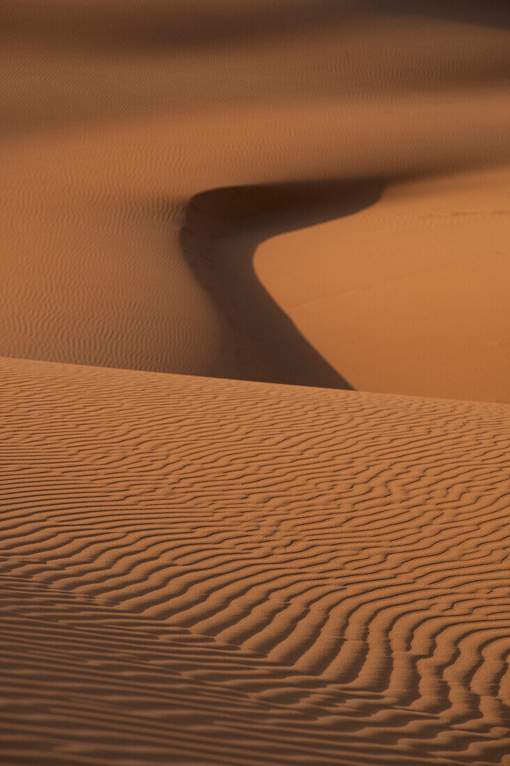 Morocco,Detail of sand dunes in Erg Chebbi area,Sahara Desert near Merzouga