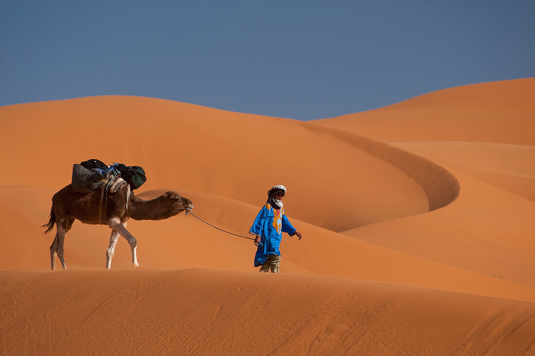 Marokko,Berber 'Blauer Mann' führt Kamel über Sanddünen im Erg Chebbi-Gebiet,Sahara-Wüste bei Merzouga