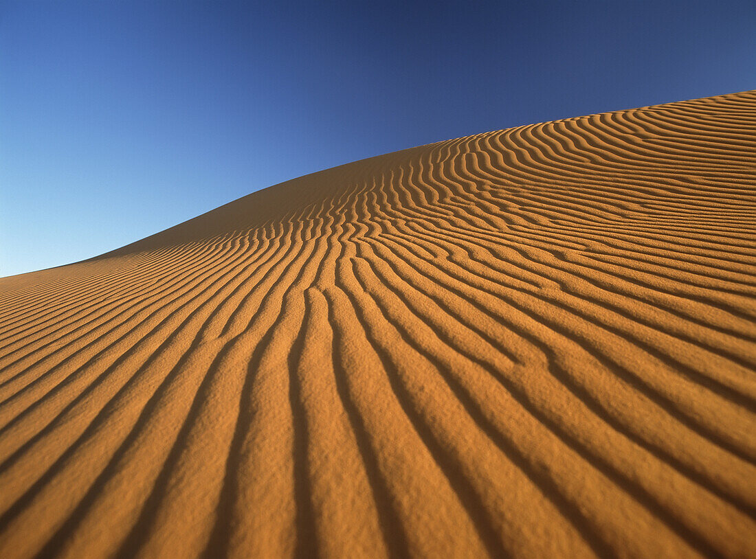 Marokko,Detail einer Sanddüne in der Morgendämmerung im Erg Chebbi-Gebiet, Sahara-Wüste bei Merzouga