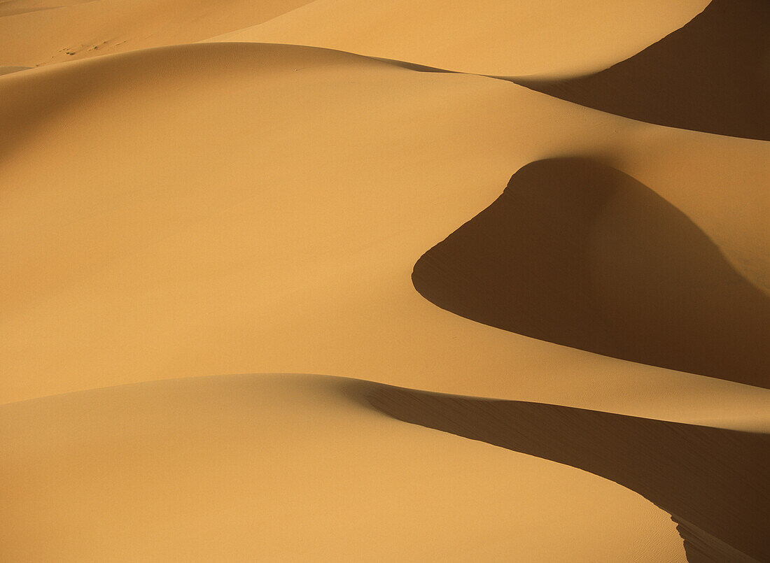 Morocco,Detail of sand dunes at dawn in Erg Chebbi area,Sahara Desert near Merzouga