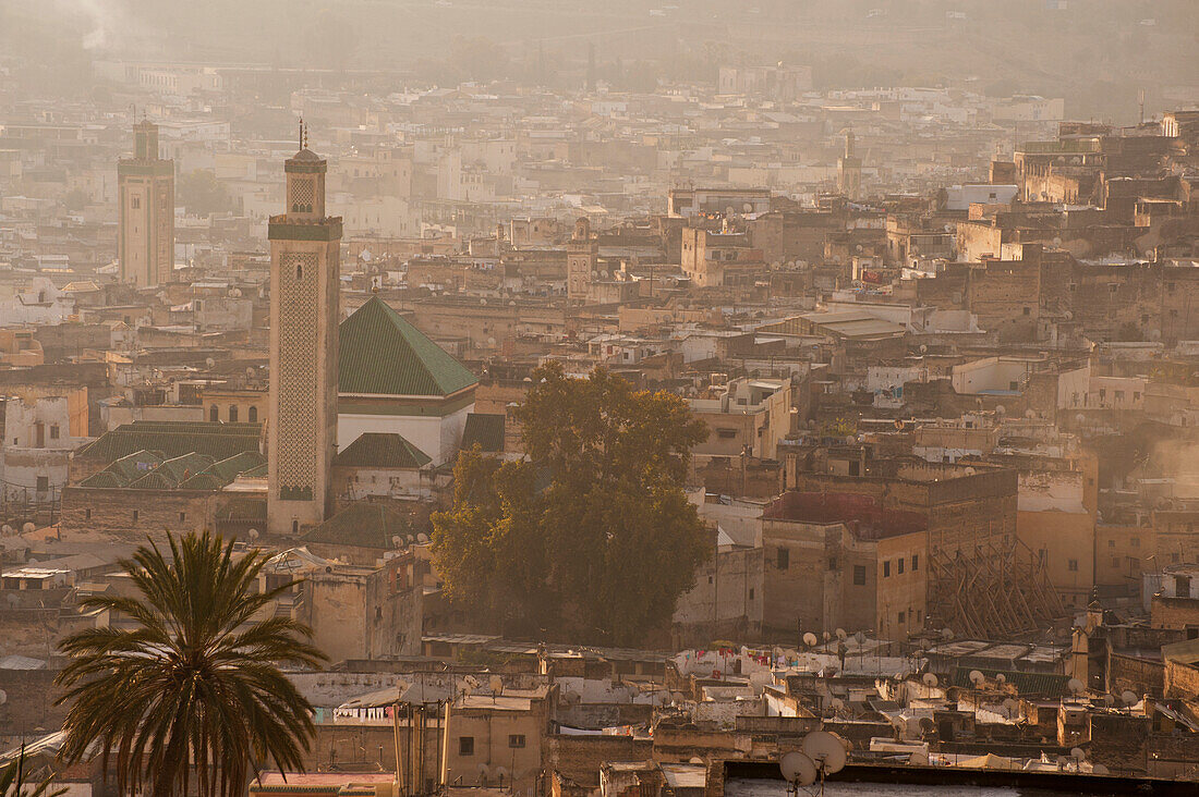 Marokko,Blick auf die Kairaouine-Moschee und die Medina von Fez in der Morgendämmerung,Fez