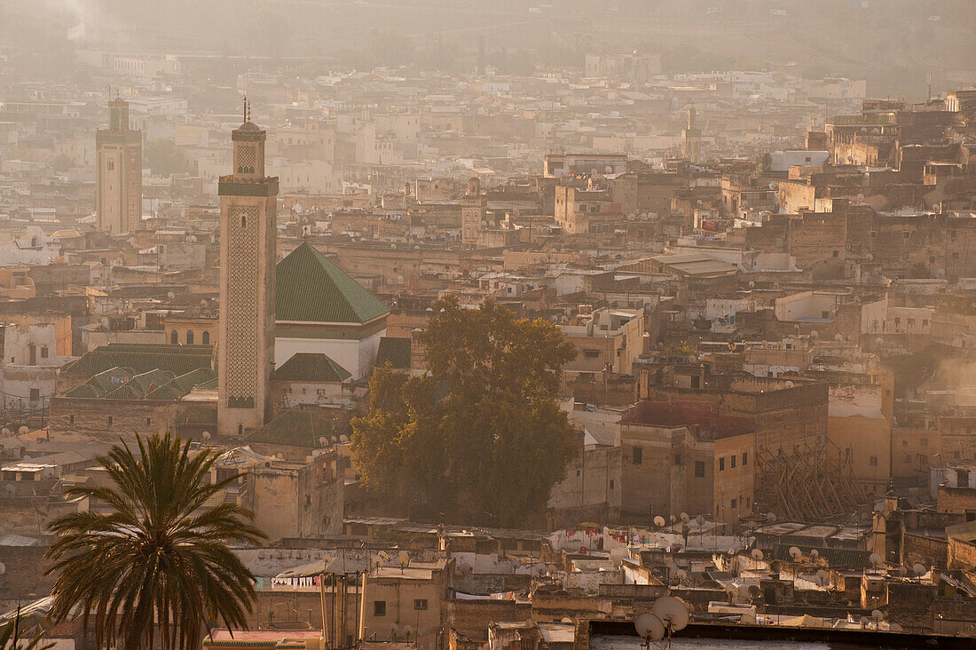 Morocco,Looking down to Kairaouine Mosque and medina of Fez at dawn,Fez