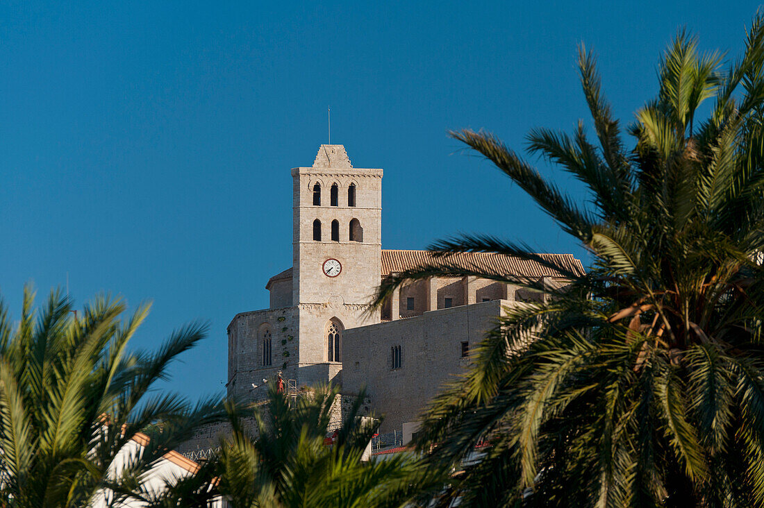 Spain,Ibiza,Palm trees and Santa Maria cathedral,Ibiza Town