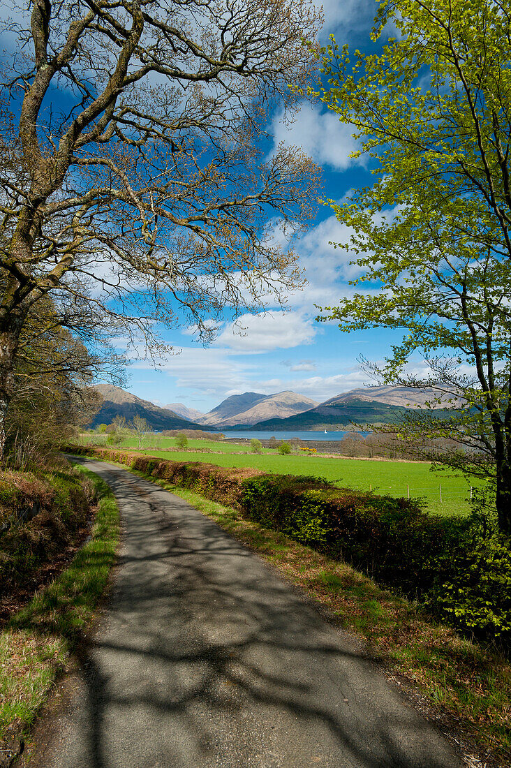 UK,Schottland,Blick über einen kleinen Feldweg hinunter zum Loch Creran, Argyll und Bute