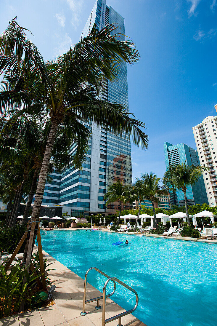 USA.,Florida,swimming pool and palm trees in Downtown,Miami,hotels,High rise buildings