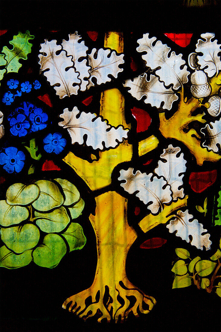 Uk,Rousham Kirche,Oxfordshire,Buntglasfenster