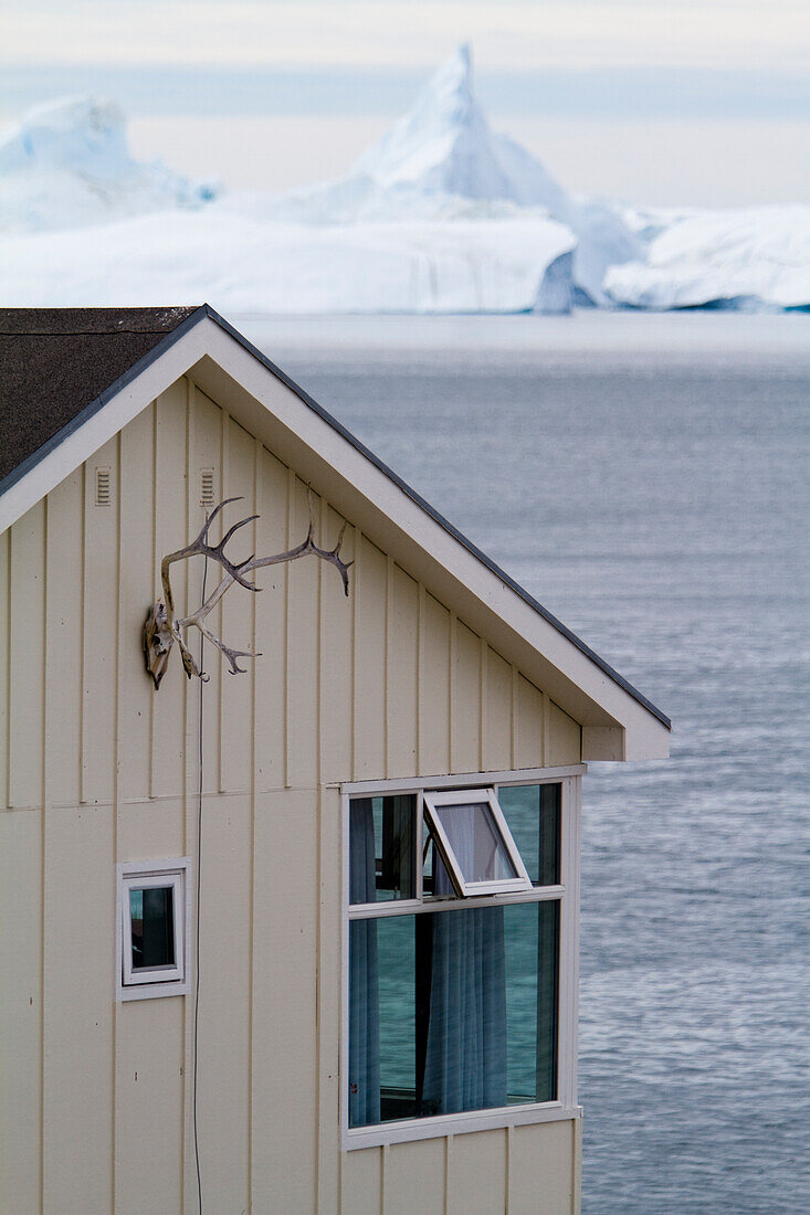 Die Jagd ist ein wichtiger Teil des Lebens in Grönland, und Felle und Geweihe kann man überall in der Stadt sehen. Haus mit Eisfjord dahinter. Ilulissat, Grönland.