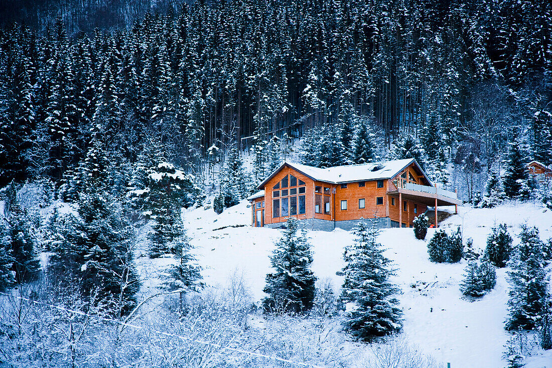 Norwegen,Sognefjord,Winterwunderland,Ortnevik,Alpine Blockhütte im Schnee,Kiefernwald Brekke Rental Cabins,Schnee,Berge,Winter Alpine Landschaft