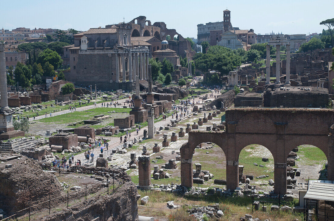 Italy,Roman Forum (Forum Magnum),Rome